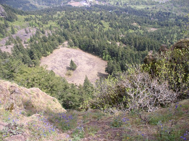 4.30.06 Hamilton Mountain 059 